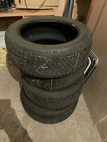 225/55R17 Zimné pneumatiky značky Dunlop