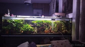 Predám akvarium 170x45x45(345l)