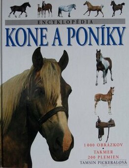 Kone a poníky