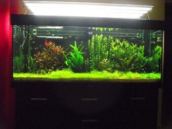 Akvarium 450L+prislusenstvo