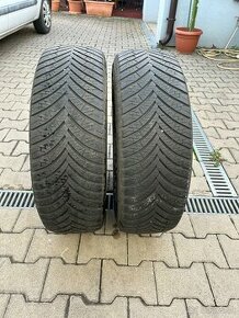 225/65 R17 102H GreenMax All Season celorocne