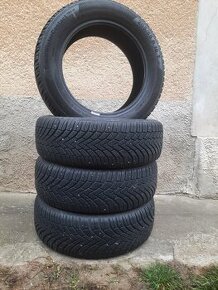 205/55R16zimne6