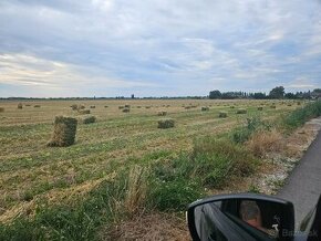 Lucerka malé hranaté a guľaté 120cm - 1