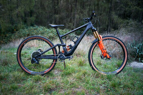 Specialized Enduro Custom - 1