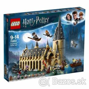 LEGO® Harry Potter™ 75954