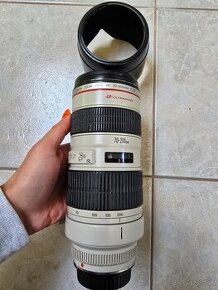 Canon ef 70-200mm 2.8