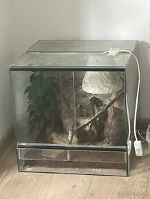 Terarium