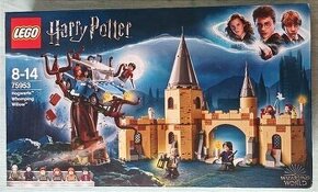 LEGO Harry Potter 75953