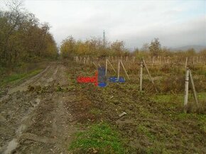 Dobre obrábaný vinohrad Vinosady na Výsady - 19,4 árov