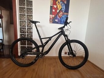 Specialized stumpjumper