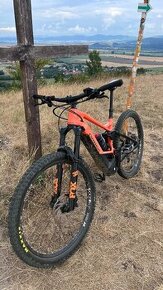 Orbea wild 2021