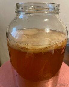 Kombucha