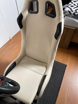 Logitech G29 + Playseat Evolution