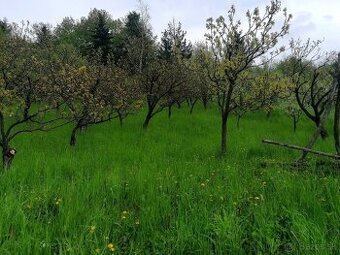 Pozemok blízko centra Košíc s krásnym výhľadom