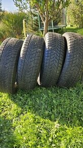 225/65 R17 zimné