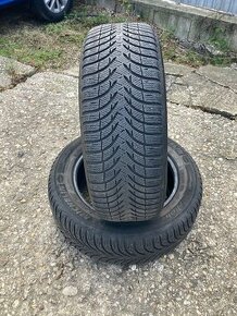 205/55r16 zimne 2ks Michelin