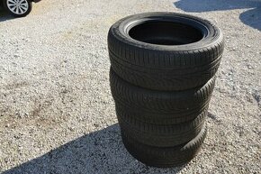 255/55 R 19 zimne