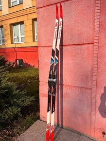 Bežky Rossignol Delta COMP R-SKIN 186cm - (30-50kg)