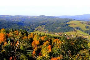 Korňa – 15.100 m2 LES NA PREDAJ