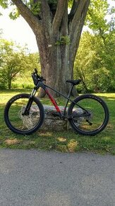 TREK Roscoe 6