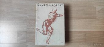 Karel Schulz - Kameň a bolesť (Michelangelo)