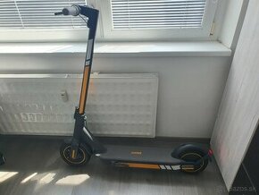 Segway-Ninebot Kickscooter Max G30D