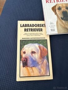 Labrador, Labradorský retríver