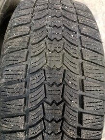 Sava eskimo hp2 205/55R16