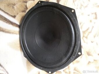 RFT 100W RMS 10" mekky bas