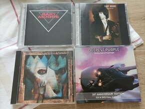 Gary Moore, Deep Purple, Paradise Lost