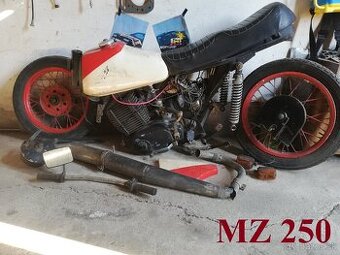 MZ 250