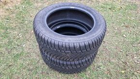 Zimné pneu Dunlop 225/55 R17 - 1