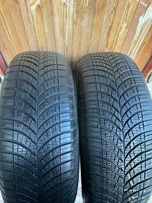 225/65R17 zimné Good Year - 1