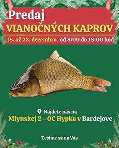 PREDAJ VIANOČNÝCH KAPROV - BARDEJOV