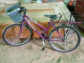 Bicykel Neuzer Passat