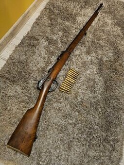 M1869 Gewehr Werder 11,15x60mm