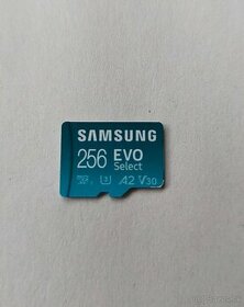 SAMSUNG EVO SELECT 256 GB - 1