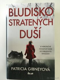 Bludisko stratených duši - Patrícia Gibneyova