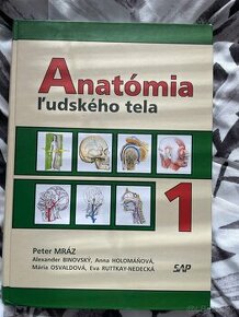 Anatómia ľudského tela - 1