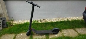 kolobezka ninebot segway