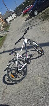 Bicykel CTM Charisma 3.0 - 1