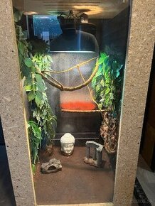 Terarium chameleón