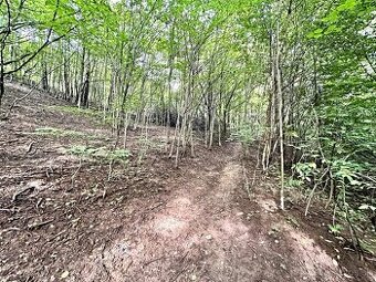 Pozemok v obci Horné Hámre (Žarnovica)