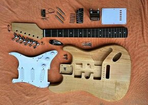 Harley Benton Strat Kit - 1