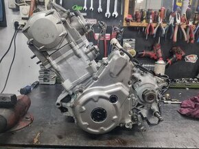 Yamaha raptor 700 motor