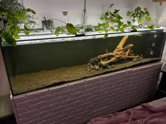 Akvarium 500l