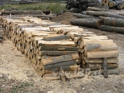 Palivové drevo metrovica