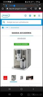 Gaggia academia