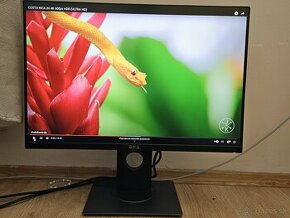 Dell Ultrasharp U2415B