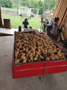 Predám konzumné zemiaky